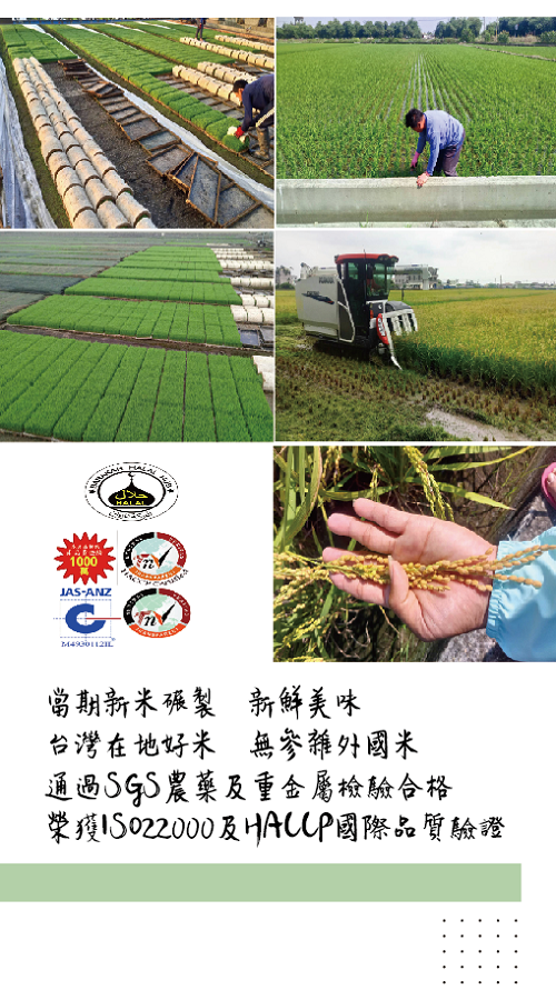 未命名2 未命名2